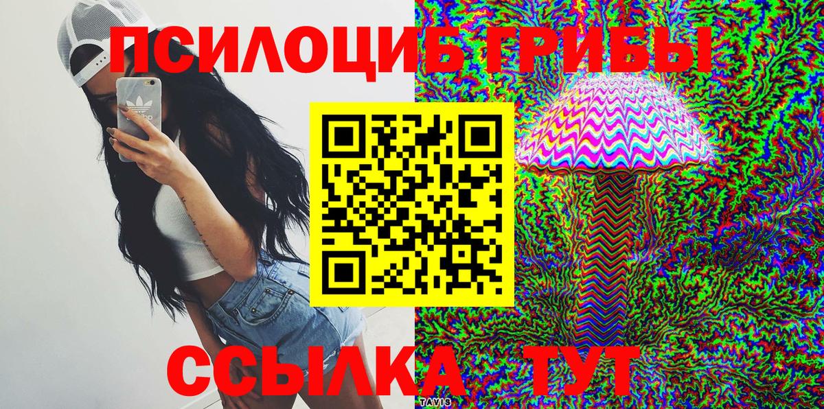 Заводоуковск  Псилоцибиновые грибы Psilocybine cubensis  Вход с VPN 